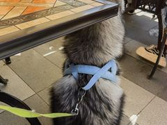 -京北渔家傲
