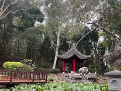 -深圳国际园林花卉博览园