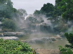 -东莞植物园