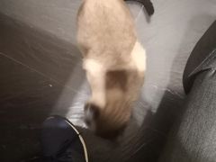 -吱咖啡西式简餐
