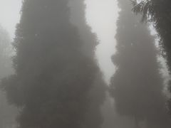 -武陵山森林公园