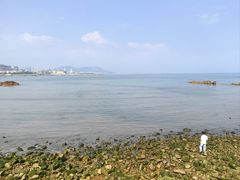 -小麦岛公园