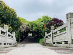 -白马涧龙池景区