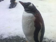 -悉尼海洋生物水族馆