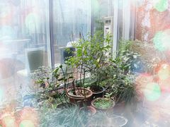 -院子餐厅·大锅菜·老杭帮(桥西直街店)