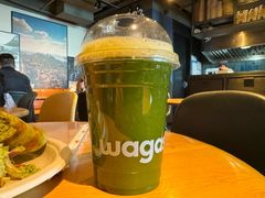 绿野仙踪-Wagas沃歌斯(虹桥机场T1店)