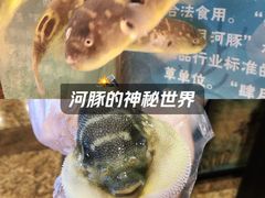 -肆月河豚·淮扬菜·湘菜(华天店)