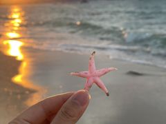 -三亚亚龙湾万豪度假酒店