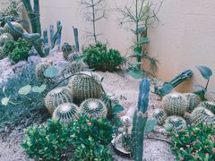 -正佳雨林生态植物园