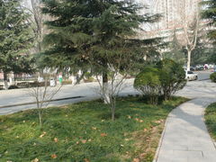 -陕西师范大学(雁塔校区)
