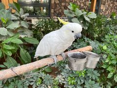 -南宫五洲植物乐园