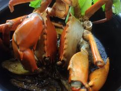 -鑫鸿达·海鲜闽菜热炒小馆(中山路店)
