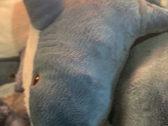 -宜家家居(四元桥商场店)