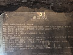 -周口店北京人遗址公园
