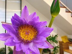 -森野花艺培训·企业团建活动沙龙