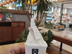 -野人先生Gelato(上海长宁龙之梦店)