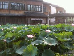 android_upload_pic-乌镇望津里精品酒店