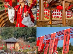 -广西壮族自治区药用植物园