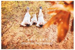 -蜜糖派儿童摄影(青建·太阳岛店)
