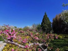 -春晖园度假酒店温泉