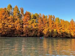 -上海海湾国家森林公园