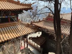 -高尔山公园