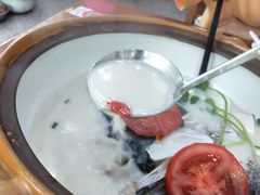 -全乐鱼馆·淳牌有机鱼直营店