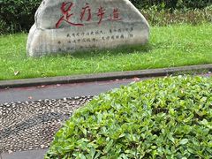 -重庆彩云湖湿地公园