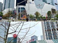 -广州奥园喜来登酒店