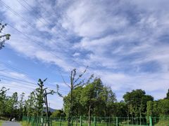 -佛手湖郊野公园