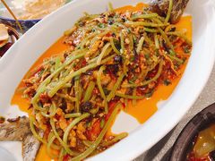 -院8里·少城记忆老川菜(宽窄巷子店)