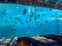-瑞德姆美人鱼海底演艺主题餐厅(亚龙湾店)