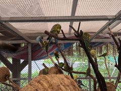 -珠海海泉湾神秘岛亲子乐园