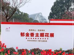-南山植物园