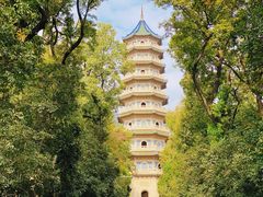 -灵谷景区