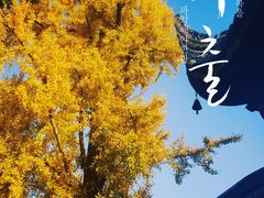 -宝光寺