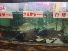 -楚鱼王·河鲜·湖北菜(华农店)