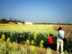 -中国天府农业博览园