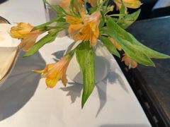 -夏朵花园(复兴西路店)