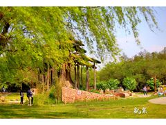 -共青国家森林公园-售票处