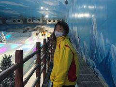 游乐设施-世界之窗阿尔卑斯冰雪世界