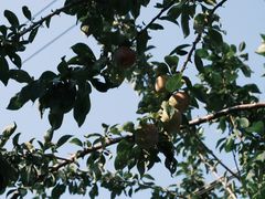 -富士相机·拍立得instax(三里屯soho商场店)