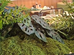 -0048鲜活香辣虾·火锅(铜陵路店)