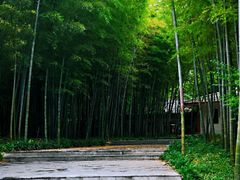 -求雨山文化公园