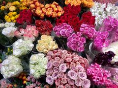 -双季花艺园艺市场(浦东店)