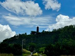 -南沙蒲洲花园