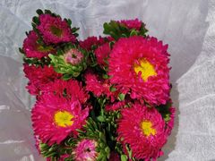 -东方鼎信农副产品交易中心