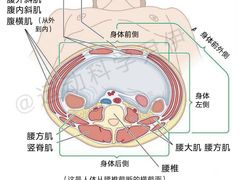 -锐动健身游泳(博地中心店)