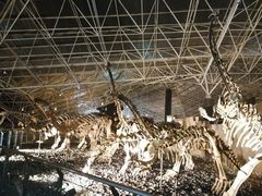 -世界恐龙谷景区