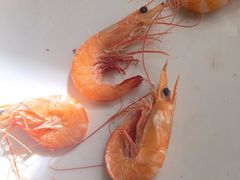 -东平一号渔排·阳江海鲜大排档